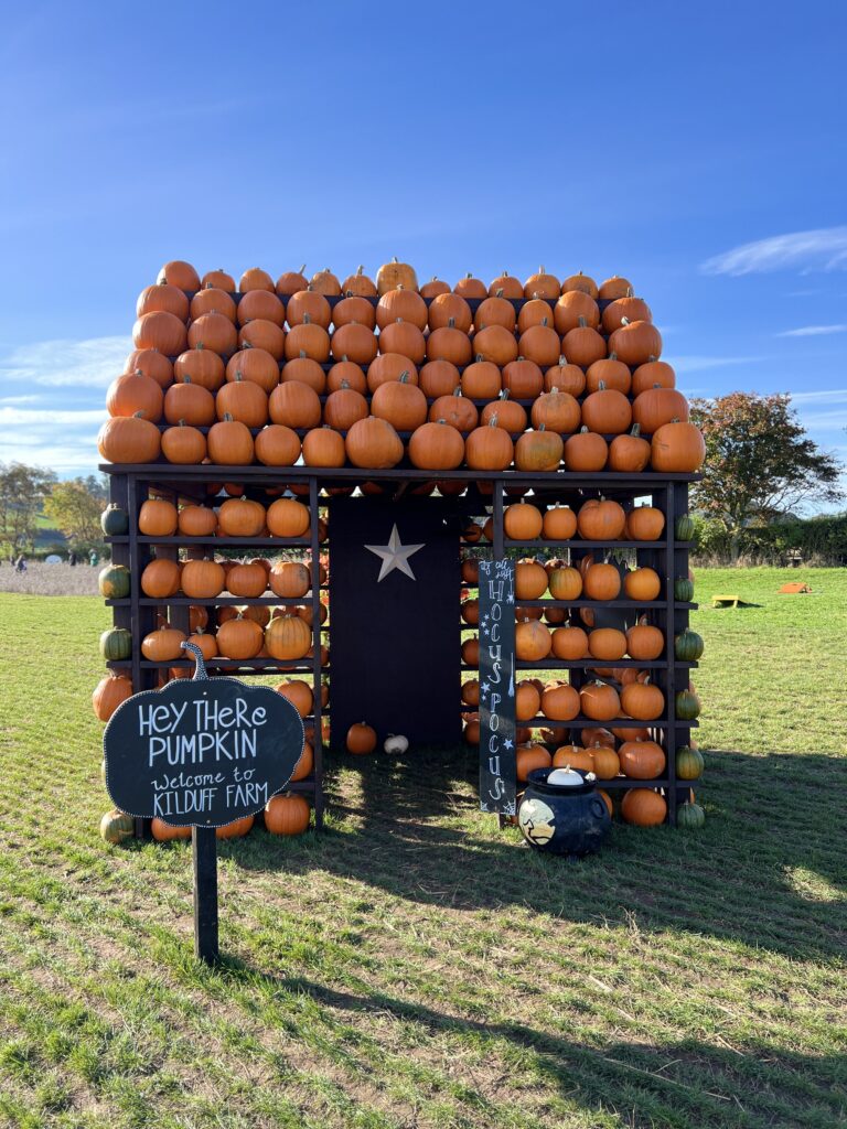 Kilduff Farm Pumpkin House