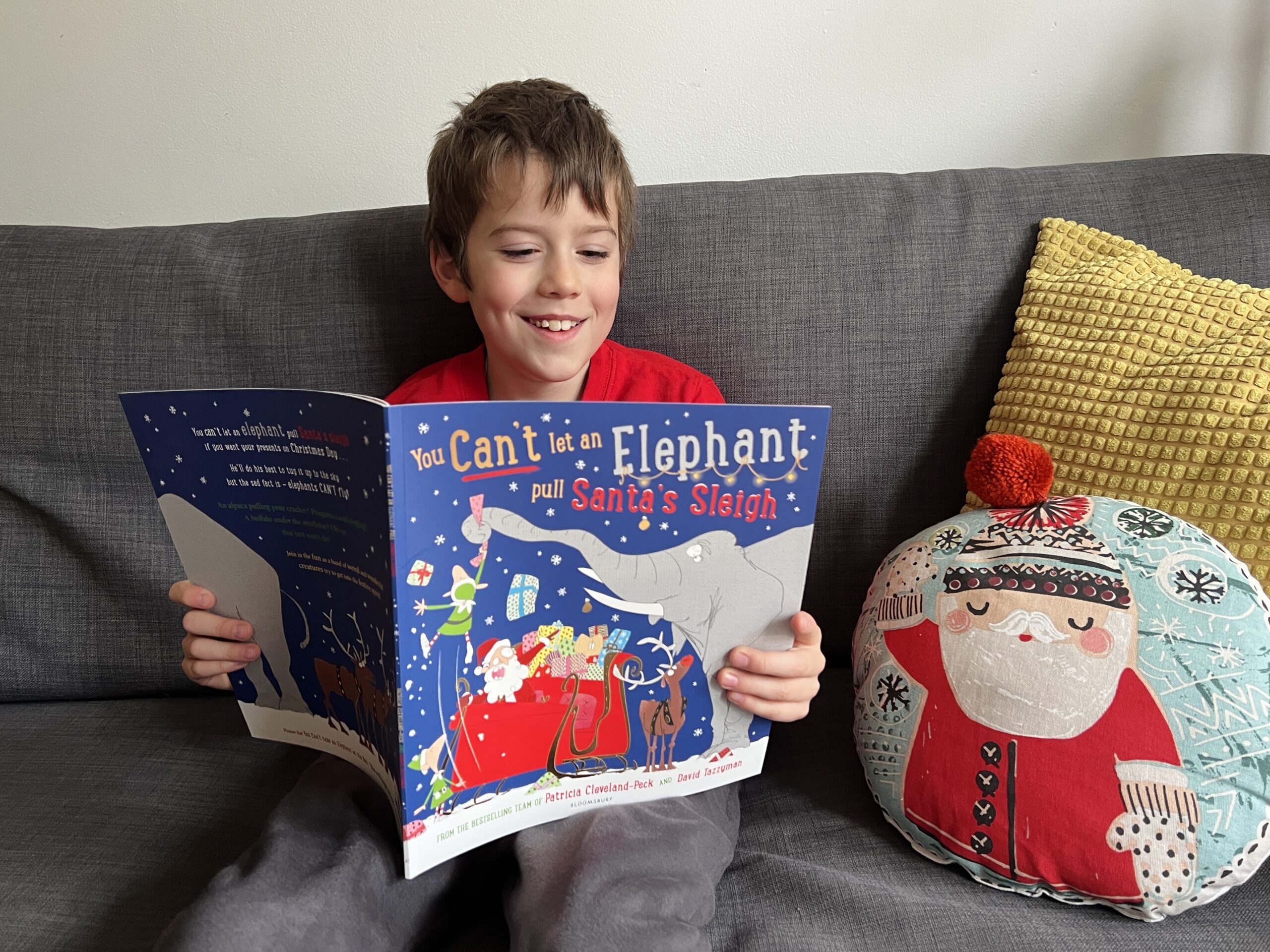Reading You Can't Let an Elephant Pull Santa's Sleigh