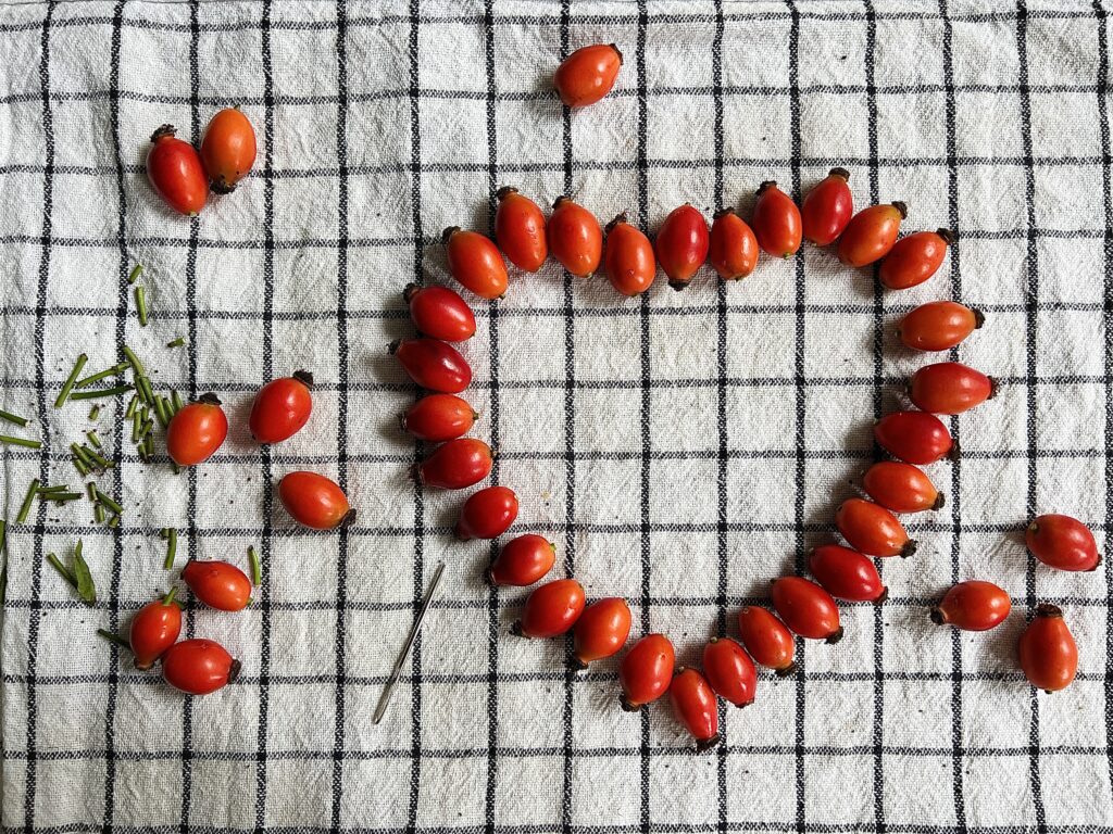 Rose hip heart decorations prep