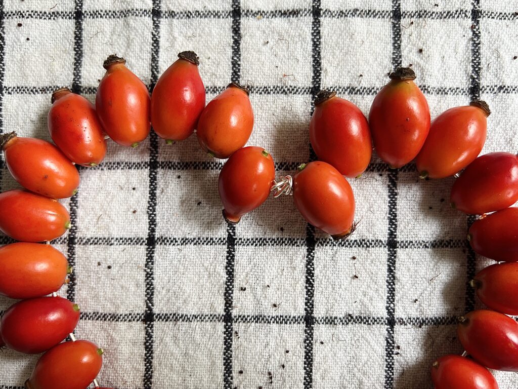 rose hip heart decoration