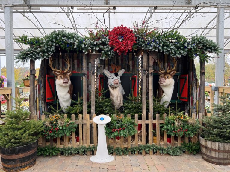 {Edinburgh} Christmas Fun at Mortonhall Garden Centre