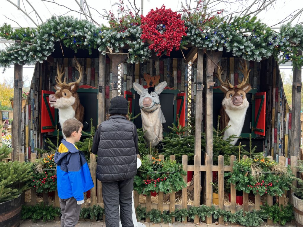 Mortonhall Garden Centre Singing Reindeer