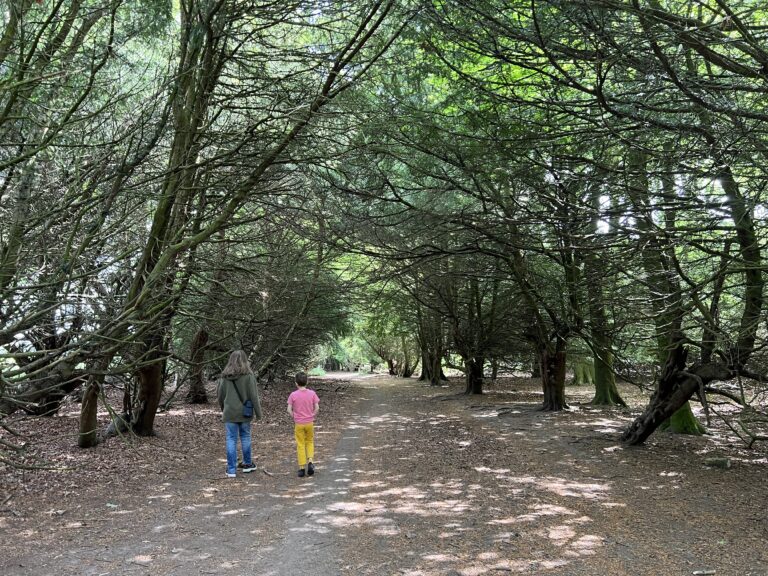 {Edinburgh} Family Walk – from Buckstone to Seven Acre Park/ Mortonhall