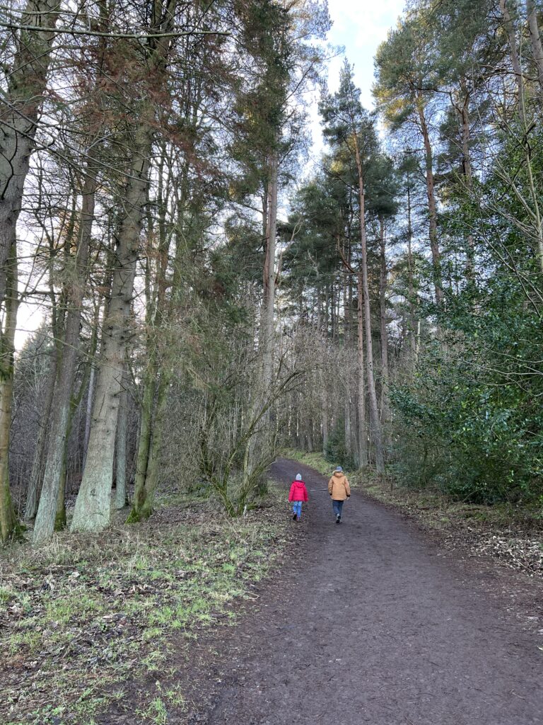Walking through the woods at Bonaly Country Park