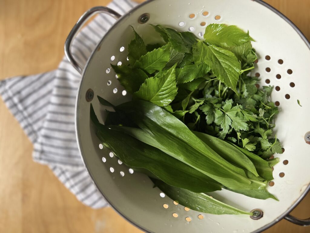 foraged wild garlic, ground elder and parsley