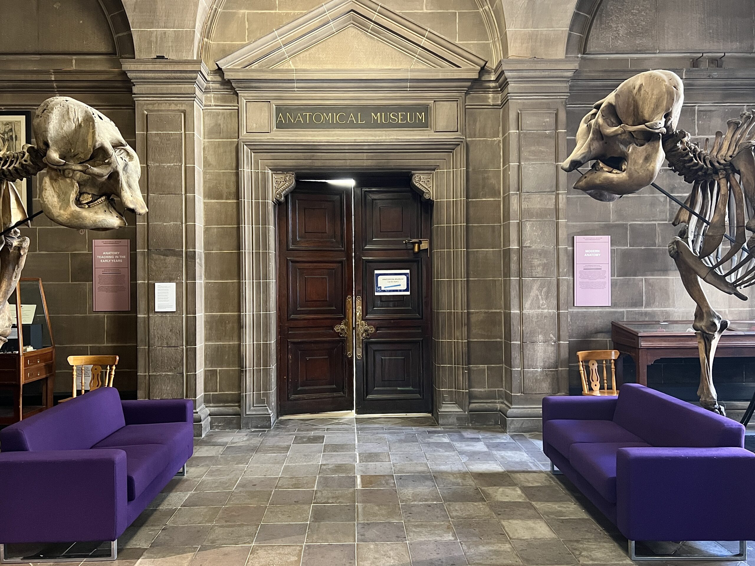 University of Edinburgh Anatomical Museum