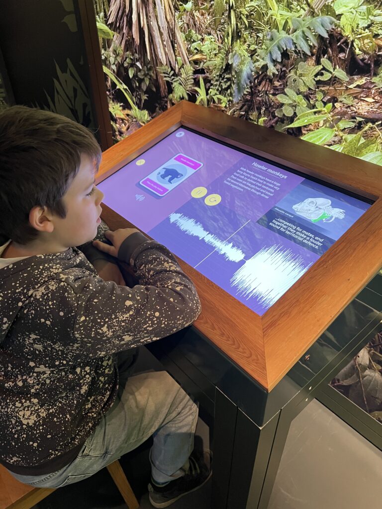 Monkeys Our Primate Family jungle talk interactive