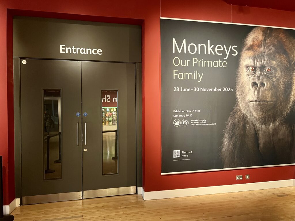 Monkeys Our Primate Family entrance