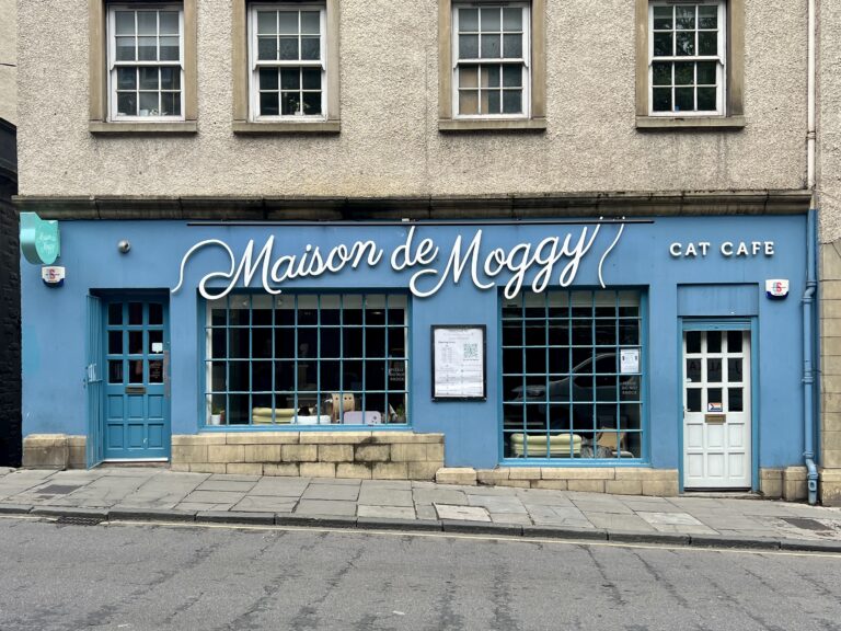 Maison de Moggy – Edinburgh’s Cat Cafe